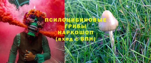 соль курить ск Инсар