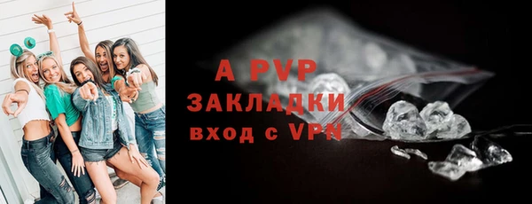 не бодяженный Иннополис