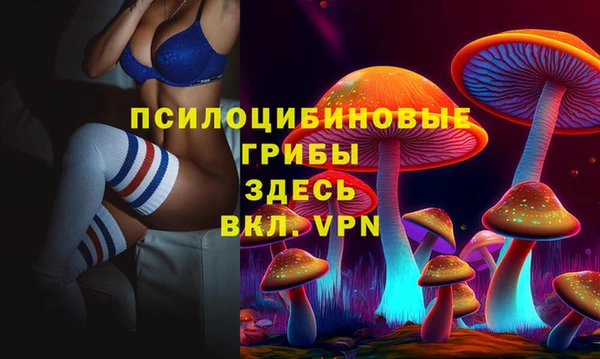 не бодяженный Иннополис