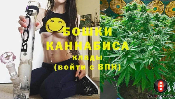 не бодяженный Иннополис