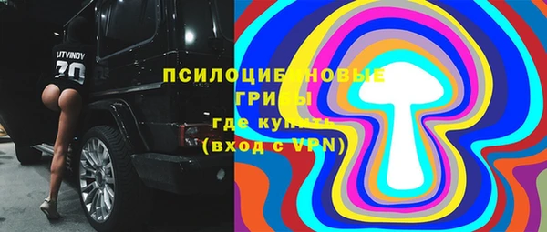 не бодяженный Иннополис
