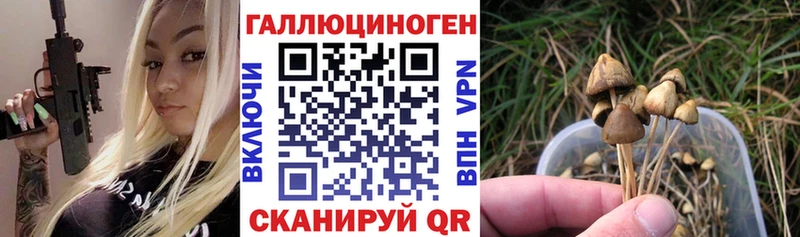 Купить закладки  Нестеров  Псилоцибиновые грибы GOLDEN TEACHER 